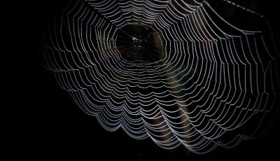 VUCA-Welt: Anleitung für eine Welt, die wir nur schwer verstehen Datum